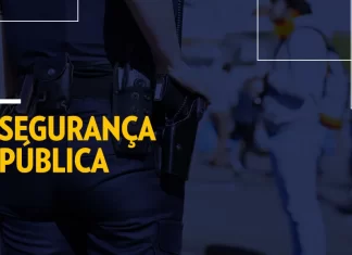 Armas e Saúde Pública: Explorando a Conexão Entre o Acesso às Armas e a Saúde da População